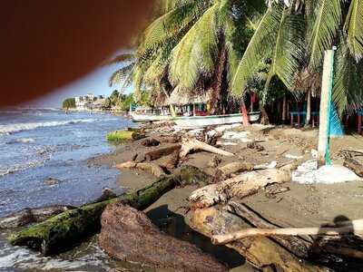 La Frontera Gourmet Pescados Y Mariscos