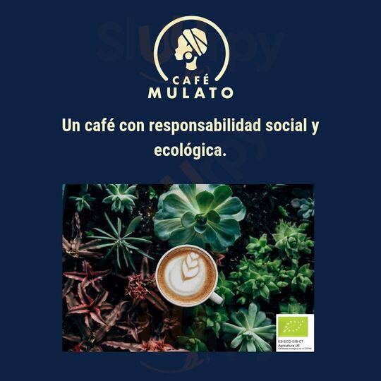 Café Mulato