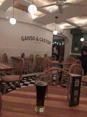 Ganso Y Castor