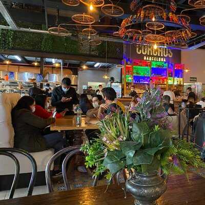 Corchos Barcelona -colina