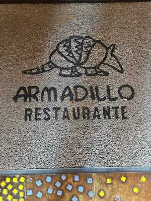 Armadillo