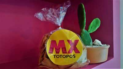 Mx Tortilleria