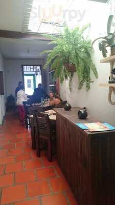 La Ventana De La Chicharra