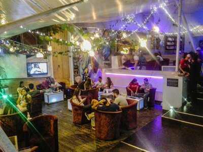 Malibu Frozen & Cocktails