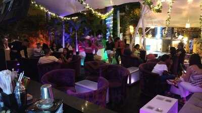 Malibu Frozen & Cocktails