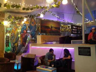 Malibu Frozen & Cocktails