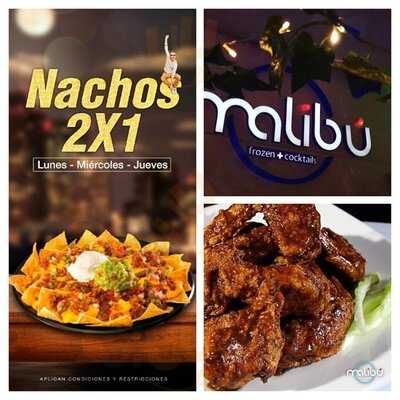 Malibu Frozen & Cocktails