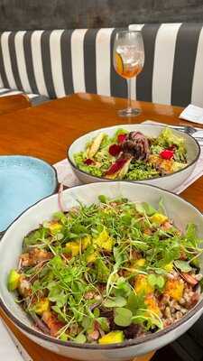 Canasto Picnic Bistró