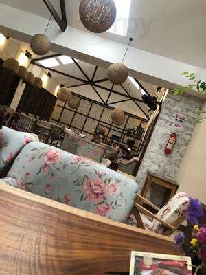 Santa Leña Laureles