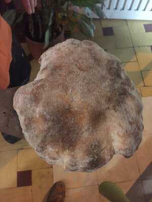 Vesubio Restaurante Pizzeria