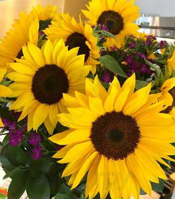 Ventura Soup & Salad