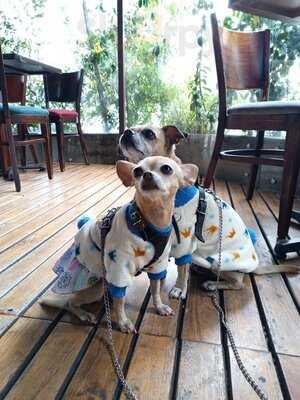 Oak Ahumados & Brebajes