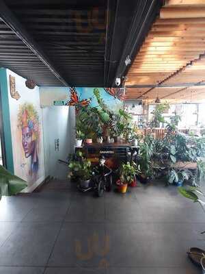 Photo 4