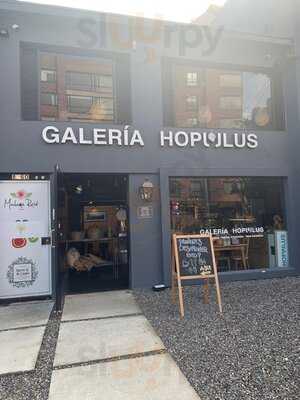 Galería Hopulus