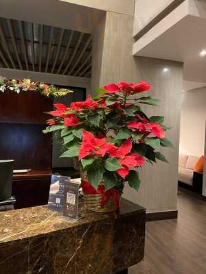 Nomade Bistro Bar Restaurant