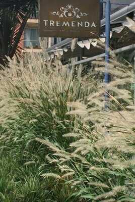 Tremenda Sal Y Dulce