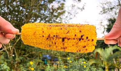 Las Costillas De Pedro