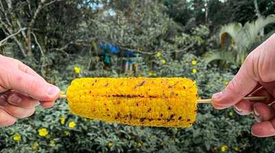 Las Costillas De Pedro