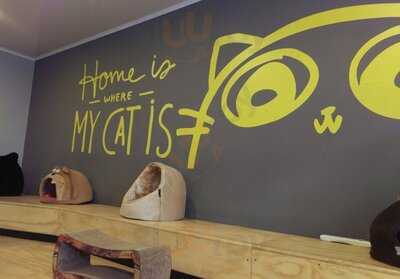 Calico Cat Café