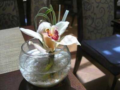 Bar - Restaurant Sofitel Bogota Victoria Regia