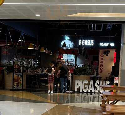 Pigasus