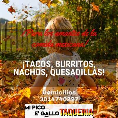 Mi Pico E’ Gallo Taqueria