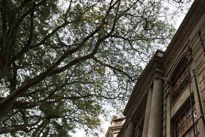 Café El Bohemio De Clausura