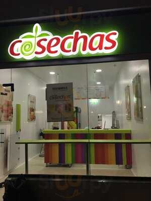 Cosechas Puente Largo / Pasadena