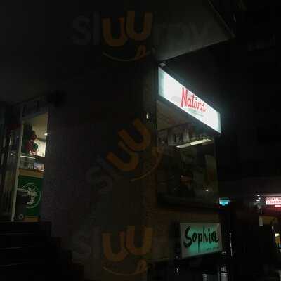 Nativos Eje Ambiental