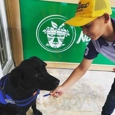 Nativos Eje Ambiental