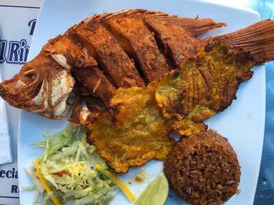 El Rincon Del Viejo Willy