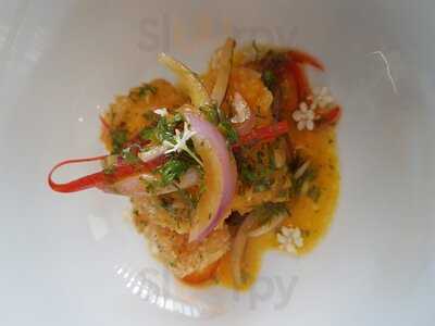 Terranova Bistro Deluxe