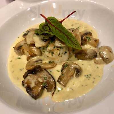 Terranova Bistro Deluxe