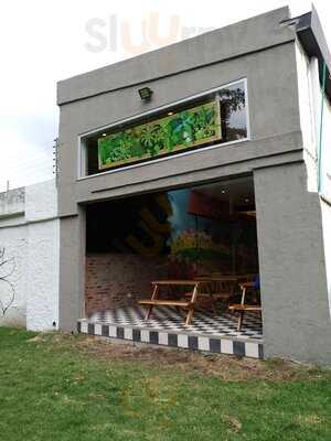 Sierra Nevada Hamburguesas Y Malteadas