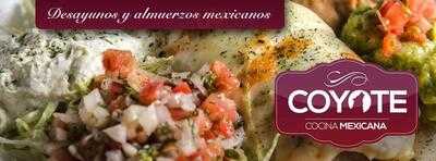 Coyote Cocina Mexicana