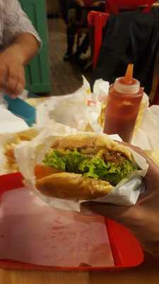 Sierra Nevada Zona T