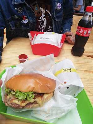 Sierra Nevada Zona T