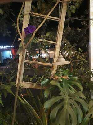 Botanicus Tienda - Cafe