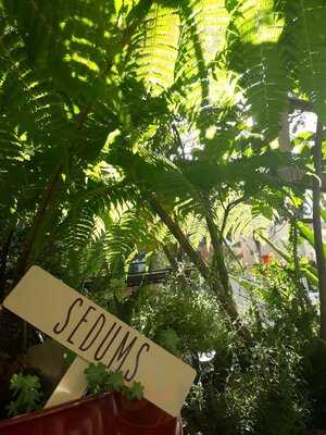 Botanicus Tienda - Cafe