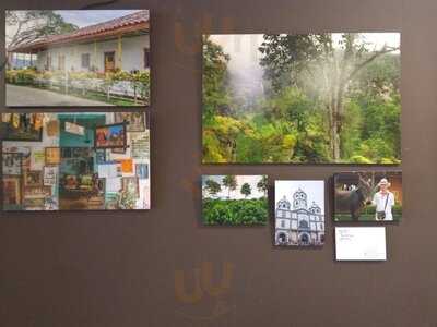 Kafino - Cafés De Origen