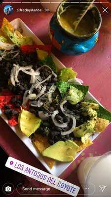 Los Antojos Del Coyote