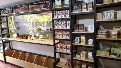 Ocholate Galería Del Cacao