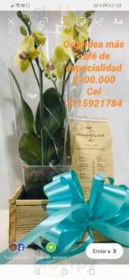 Arábica Cafés Especiales