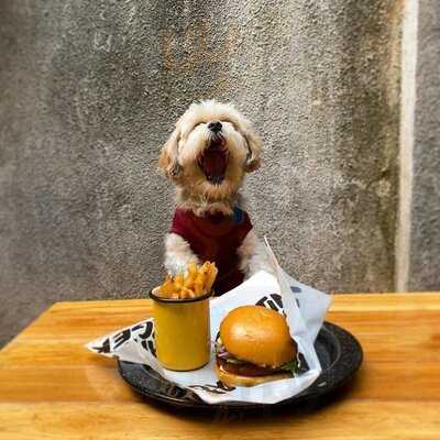 Gratin Burger Parkway