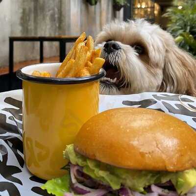 Gratin Burger Parkway