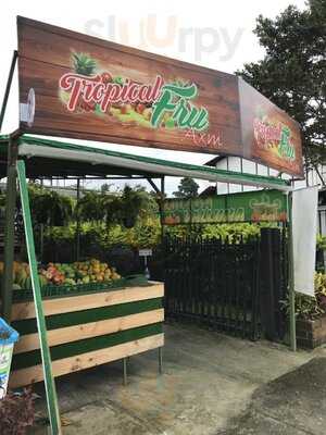 Tropical Fru Axm