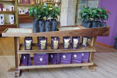 Café San Alberto Centro De Bogotá (parque Santander)