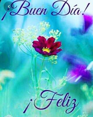 Amarily Restaurante Y Tienda Gourmet