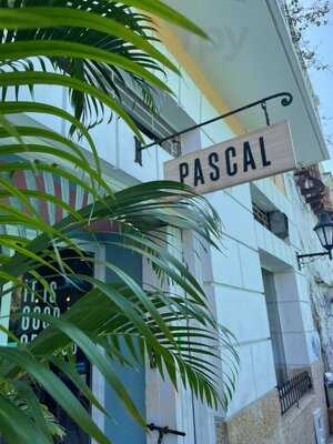 Pascal
