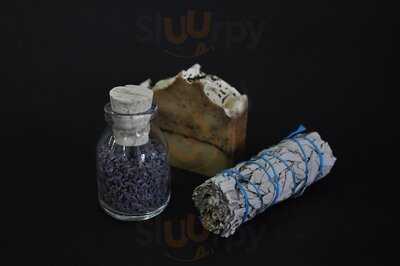 Planta Madre Botánicos